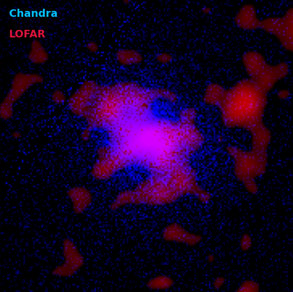 Cluster Dynamics